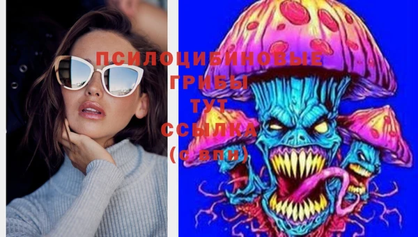 спайс Беломорск