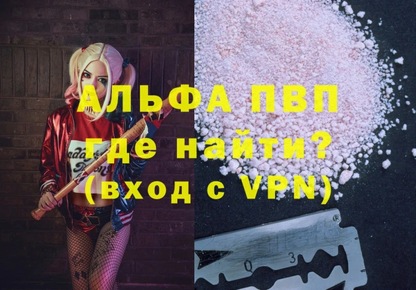 спайс Беломорск