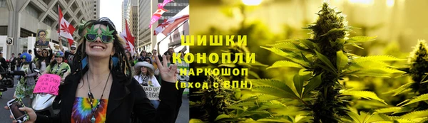 a pvp Белокуриха