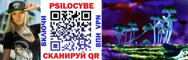 ОМГ ОМГ вход  купить наркотики цена  Володарск  Галлюциногенные грибы MAGIC MUSHROOMS 